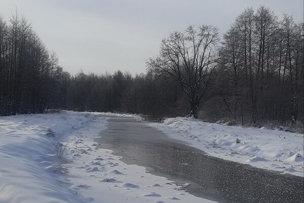 Всемирный день водно-болотных угодий: охраняя уникальные экосистемы